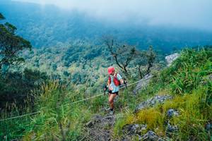 BIB: 
                            <button type="button" onclick="openModal(25095896)" class="btn btn-primary btn-sm float-right btn-popup" data-toggle="modal" data-target=".modal-high-quality">
                        <i class="fas fa-shopping-cart"></i> Add to Cart
                    </button>
                                            <button type="button" onclick="isThisMe(25095896, true)" class="btn btn-success btn-sm float-right btn-popup btn-isme hidden" data-toggle="tooltip" data-placement="bottom" title="นี่คือรูปของคุณใช่ไหม คลิกที่นี่เพื่อเอาเข้าอัลบั้ม">
                        <i class="fas fa-plus"></i> Add to album
                    </button>
                    <button type="button" onclick="isThisMe(25095896, false)" class="btn btn-warning btn-sm float-right btn-popup btn-isnotme hidden">
                        <i class="fas fa-ban"></i> Remove from album
                    </button>