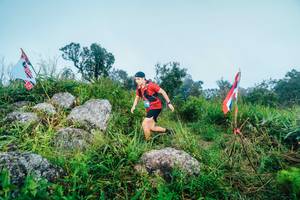 BIB: 
                            <button type="button" onclick="openModal(25087917)" class="btn btn-primary btn-sm float-right btn-popup" data-toggle="modal" data-target=".modal-high-quality">
                        <i class="fas fa-shopping-cart"></i> Add to Cart
                    </button>
                                            <button type="button" onclick="isThisMe(25087917, true)" class="btn btn-success btn-sm float-right btn-popup btn-isme hidden" data-toggle="tooltip" data-placement="bottom" title="นี่คือรูปของคุณใช่ไหม คลิกที่นี่เพื่อเอาเข้าอัลบั้ม">
                        <i class="fas fa-plus"></i> Add to album
                    </button>
                    <button type="button" onclick="isThisMe(25087917, false)" class="btn btn-warning btn-sm float-right btn-popup btn-isnotme hidden">
                        <i class="fas fa-ban"></i> Remove from album
                    </button>