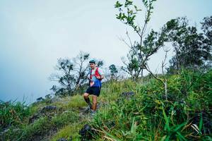 BIB: 
                            <button type="button" onclick="openModal(25095698)" class="btn btn-primary btn-sm float-right btn-popup" data-toggle="modal" data-target=".modal-high-quality">
                        <i class="fas fa-shopping-cart"></i> Add to Cart
                    </button>
                                            <button type="button" onclick="isThisMe(25095698, true)" class="btn btn-success btn-sm float-right btn-popup btn-isme hidden" data-toggle="tooltip" data-placement="bottom" title="นี่คือรูปของคุณใช่ไหม คลิกที่นี่เพื่อเอาเข้าอัลบั้ม">
                        <i class="fas fa-plus"></i> Add to album
                    </button>
                    <button type="button" onclick="isThisMe(25095698, false)" class="btn btn-warning btn-sm float-right btn-popup btn-isnotme hidden">
                        <i class="fas fa-ban"></i> Remove from album
                    </button>