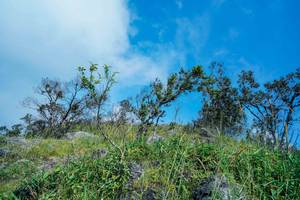 BIB: 
                            <button type="button" onclick="openModal(25098483)" class="btn btn-primary btn-sm float-right btn-popup" data-toggle="modal" data-target=".modal-high-quality">
                        <i class="fas fa-shopping-cart"></i> Add to Cart
                    </button>
                                            <button type="button" onclick="isThisMe(25098483, true)" class="btn btn-success btn-sm float-right btn-popup btn-isme hidden" data-toggle="tooltip" data-placement="bottom" title="นี่คือรูปของคุณใช่ไหม คลิกที่นี่เพื่อเอาเข้าอัลบั้ม">
                        <i class="fas fa-plus"></i> Add to album
                    </button>
                    <button type="button" onclick="isThisMe(25098483, false)" class="btn btn-warning btn-sm float-right btn-popup btn-isnotme hidden">
                        <i class="fas fa-ban"></i> Remove from album
                    </button>