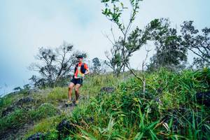 BIB: 
                            <button type="button" onclick="openModal(25096549)" class="btn btn-primary btn-sm float-right btn-popup" data-toggle="modal" data-target=".modal-high-quality">
                        <i class="fas fa-shopping-cart"></i> Add to Cart
                    </button>
                                            <button type="button" onclick="isThisMe(25096549, true)" class="btn btn-success btn-sm float-right btn-popup btn-isme hidden" data-toggle="tooltip" data-placement="bottom" title="นี่คือรูปของคุณใช่ไหม คลิกที่นี่เพื่อเอาเข้าอัลบั้ม">
                        <i class="fas fa-plus"></i> Add to album
                    </button>
                    <button type="button" onclick="isThisMe(25096549, false)" class="btn btn-warning btn-sm float-right btn-popup btn-isnotme hidden">
                        <i class="fas fa-ban"></i> Remove from album
                    </button>