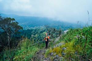 BIB: 
                            <button type="button" onclick="openModal(25096226)" class="btn btn-primary btn-sm float-right btn-popup" data-toggle="modal" data-target=".modal-high-quality">
                        <i class="fas fa-shopping-cart"></i> Add to Cart
                    </button>
                                            <button type="button" onclick="isThisMe(25096226, true)" class="btn btn-success btn-sm float-right btn-popup btn-isme hidden" data-toggle="tooltip" data-placement="bottom" title="นี่คือรูปของคุณใช่ไหม คลิกที่นี่เพื่อเอาเข้าอัลบั้ม">
                        <i class="fas fa-plus"></i> Add to album
                    </button>
                    <button type="button" onclick="isThisMe(25096226, false)" class="btn btn-warning btn-sm float-right btn-popup btn-isnotme hidden">
                        <i class="fas fa-ban"></i> Remove from album
                    </button>