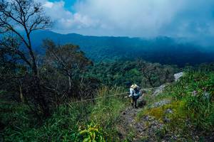 BIB: 
                            <button type="button" onclick="openModal(25098237)" class="btn btn-primary btn-sm float-right btn-popup" data-toggle="modal" data-target=".modal-high-quality">
                        <i class="fas fa-shopping-cart"></i> Add to Cart
                    </button>
                                            <button type="button" onclick="isThisMe(25098237, true)" class="btn btn-success btn-sm float-right btn-popup btn-isme hidden" data-toggle="tooltip" data-placement="bottom" title="นี่คือรูปของคุณใช่ไหม คลิกที่นี่เพื่อเอาเข้าอัลบั้ม">
                        <i class="fas fa-plus"></i> Add to album
                    </button>
                    <button type="button" onclick="isThisMe(25098237, false)" class="btn btn-warning btn-sm float-right btn-popup btn-isnotme hidden">
                        <i class="fas fa-ban"></i> Remove from album
                    </button>