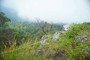 BIB: 
                            <button type="button" onclick="openModal(25094754)" class="btn btn-primary btn-sm float-right btn-popup" data-toggle="modal" data-target=".modal-high-quality">
                        <i class="fas fa-shopping-cart"></i> Add to Cart
                    </button>
                                            <button type="button" onclick="isThisMe(25094754, true)" class="btn btn-success btn-sm float-right btn-popup btn-isme hidden" data-toggle="tooltip" data-placement="bottom" title="นี่คือรูปของคุณใช่ไหม คลิกที่นี่เพื่อเอาเข้าอัลบั้ม">
                        <i class="fas fa-plus"></i> Add to album
                    </button>
                    <button type="button" onclick="isThisMe(25094754, false)" class="btn btn-warning btn-sm float-right btn-popup btn-isnotme hidden">
                        <i class="fas fa-ban"></i> Remove from album
                    </button>