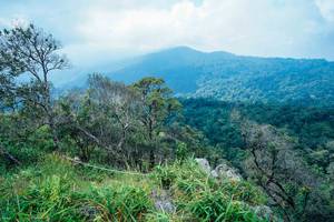 BIB: 
                            <button type="button" onclick="openModal(25098385)" class="btn btn-primary btn-sm float-right btn-popup" data-toggle="modal" data-target=".modal-high-quality">
                        <i class="fas fa-shopping-cart"></i> Add to Cart
                    </button>
                                            <button type="button" onclick="isThisMe(25098385, true)" class="btn btn-success btn-sm float-right btn-popup btn-isme hidden" data-toggle="tooltip" data-placement="bottom" title="นี่คือรูปของคุณใช่ไหม คลิกที่นี่เพื่อเอาเข้าอัลบั้ม">
                        <i class="fas fa-plus"></i> Add to album
                    </button>
                    <button type="button" onclick="isThisMe(25098385, false)" class="btn btn-warning btn-sm float-right btn-popup btn-isnotme hidden">
                        <i class="fas fa-ban"></i> Remove from album
                    </button>