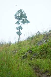 BIB: 
                            <button type="button" onclick="openModal(25094721)" class="btn btn-primary btn-sm float-right btn-popup" data-toggle="modal" data-target=".modal-high-quality">
                        <i class="fas fa-shopping-cart"></i> Add to Cart
                    </button>
                                            <button type="button" onclick="isThisMe(25094721, true)" class="btn btn-success btn-sm float-right btn-popup btn-isme hidden" data-toggle="tooltip" data-placement="bottom" title="นี่คือรูปของคุณใช่ไหม คลิกที่นี่เพื่อเอาเข้าอัลบั้ม">
                        <i class="fas fa-plus"></i> Add to album
                    </button>
                    <button type="button" onclick="isThisMe(25094721, false)" class="btn btn-warning btn-sm float-right btn-popup btn-isnotme hidden">
                        <i class="fas fa-ban"></i> Remove from album
                    </button>