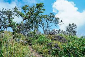 BIB: 
                            <button type="button" onclick="openModal(25098465)" class="btn btn-primary btn-sm float-right btn-popup" data-toggle="modal" data-target=".modal-high-quality">
                        <i class="fas fa-shopping-cart"></i> Add to Cart
                    </button>
                                            <button type="button" onclick="isThisMe(25098465, true)" class="btn btn-success btn-sm float-right btn-popup btn-isme hidden" data-toggle="tooltip" data-placement="bottom" title="นี่คือรูปของคุณใช่ไหม คลิกที่นี่เพื่อเอาเข้าอัลบั้ม">
                        <i class="fas fa-plus"></i> Add to album
                    </button>
                    <button type="button" onclick="isThisMe(25098465, false)" class="btn btn-warning btn-sm float-right btn-popup btn-isnotme hidden">
                        <i class="fas fa-ban"></i> Remove from album
                    </button>