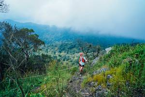 BIB: 
                            <button type="button" onclick="openModal(25095876)" class="btn btn-primary btn-sm float-right btn-popup" data-toggle="modal" data-target=".modal-high-quality">
                        <i class="fas fa-shopping-cart"></i> Add to Cart
                    </button>
                                            <button type="button" onclick="isThisMe(25095876, true)" class="btn btn-success btn-sm float-right btn-popup btn-isme hidden" data-toggle="tooltip" data-placement="bottom" title="นี่คือรูปของคุณใช่ไหม คลิกที่นี่เพื่อเอาเข้าอัลบั้ม">
                        <i class="fas fa-plus"></i> Add to album
                    </button>
                    <button type="button" onclick="isThisMe(25095876, false)" class="btn btn-warning btn-sm float-right btn-popup btn-isnotme hidden">
                        <i class="fas fa-ban"></i> Remove from album
                    </button>