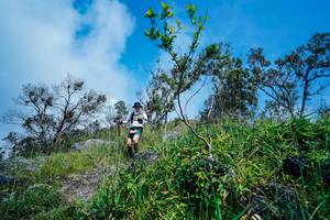 BIB: 
                            <button type="button" onclick="openModal(25098062)" class="btn btn-primary btn-sm float-right btn-popup" data-toggle="modal" data-target=".modal-high-quality">
                        <i class="fas fa-shopping-cart"></i> Add to Cart
                    </button>
                                            <button type="button" onclick="isThisMe(25098062, true)" class="btn btn-success btn-sm float-right btn-popup btn-isme hidden" data-toggle="tooltip" data-placement="bottom" title="นี่คือรูปของคุณใช่ไหม คลิกที่นี่เพื่อเอาเข้าอัลบั้ม">
                        <i class="fas fa-plus"></i> Add to album
                    </button>
                    <button type="button" onclick="isThisMe(25098062, false)" class="btn btn-warning btn-sm float-right btn-popup btn-isnotme hidden">
                        <i class="fas fa-ban"></i> Remove from album
                    </button>