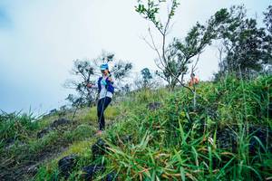 BIB: 
                            <button type="button" onclick="openModal(25096326)" class="btn btn-primary btn-sm float-right btn-popup" data-toggle="modal" data-target=".modal-high-quality">
                        <i class="fas fa-shopping-cart"></i> Add to Cart
                    </button>
                                            <button type="button" onclick="isThisMe(25096326, true)" class="btn btn-success btn-sm float-right btn-popup btn-isme hidden" data-toggle="tooltip" data-placement="bottom" title="นี่คือรูปของคุณใช่ไหม คลิกที่นี่เพื่อเอาเข้าอัลบั้ม">
                        <i class="fas fa-plus"></i> Add to album
                    </button>
                    <button type="button" onclick="isThisMe(25096326, false)" class="btn btn-warning btn-sm float-right btn-popup btn-isnotme hidden">
                        <i class="fas fa-ban"></i> Remove from album
                    </button>