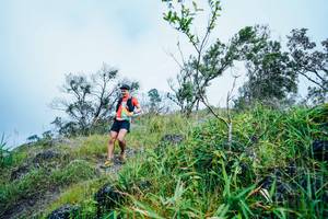 BIB: 
                            <button type="button" onclick="openModal(25096567)" class="btn btn-primary btn-sm float-right btn-popup" data-toggle="modal" data-target=".modal-high-quality">
                        <i class="fas fa-shopping-cart"></i> Add to Cart
                    </button>
                                            <button type="button" onclick="isThisMe(25096567, true)" class="btn btn-success btn-sm float-right btn-popup btn-isme hidden" data-toggle="tooltip" data-placement="bottom" title="นี่คือรูปของคุณใช่ไหม คลิกที่นี่เพื่อเอาเข้าอัลบั้ม">
                        <i class="fas fa-plus"></i> Add to album
                    </button>
                    <button type="button" onclick="isThisMe(25096567, false)" class="btn btn-warning btn-sm float-right btn-popup btn-isnotme hidden">
                        <i class="fas fa-ban"></i> Remove from album
                    </button>