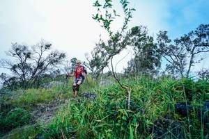 BIB: 
                            <button type="button" onclick="openModal(25098518)" class="btn btn-primary btn-sm float-right btn-popup" data-toggle="modal" data-target=".modal-high-quality">
                        <i class="fas fa-shopping-cart"></i> Add to Cart
                    </button>
                                            <button type="button" onclick="isThisMe(25098518, true)" class="btn btn-success btn-sm float-right btn-popup btn-isme hidden" data-toggle="tooltip" data-placement="bottom" title="นี่คือรูปของคุณใช่ไหม คลิกที่นี่เพื่อเอาเข้าอัลบั้ม">
                        <i class="fas fa-plus"></i> Add to album
                    </button>
                    <button type="button" onclick="isThisMe(25098518, false)" class="btn btn-warning btn-sm float-right btn-popup btn-isnotme hidden">
                        <i class="fas fa-ban"></i> Remove from album
                    </button>