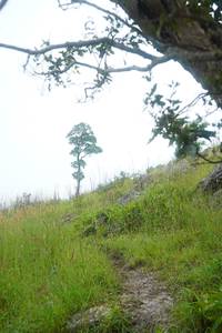 BIB: 
                            <button type="button" onclick="openModal(25094729)" class="btn btn-primary btn-sm float-right btn-popup" data-toggle="modal" data-target=".modal-high-quality">
                        <i class="fas fa-shopping-cart"></i> Add to Cart
                    </button>
                                            <button type="button" onclick="isThisMe(25094729, true)" class="btn btn-success btn-sm float-right btn-popup btn-isme hidden" data-toggle="tooltip" data-placement="bottom" title="นี่คือรูปของคุณใช่ไหม คลิกที่นี่เพื่อเอาเข้าอัลบั้ม">
                        <i class="fas fa-plus"></i> Add to album
                    </button>
                    <button type="button" onclick="isThisMe(25094729, false)" class="btn btn-warning btn-sm float-right btn-popup btn-isnotme hidden">
                        <i class="fas fa-ban"></i> Remove from album
                    </button>