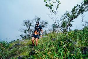 BIB: 
                            <button type="button" onclick="openModal(25095545)" class="btn btn-primary btn-sm float-right btn-popup" data-toggle="modal" data-target=".modal-high-quality">
                        <i class="fas fa-shopping-cart"></i> Add to Cart
                    </button>
                                            <button type="button" onclick="isThisMe(25095545, true)" class="btn btn-success btn-sm float-right btn-popup btn-isme hidden" data-toggle="tooltip" data-placement="bottom" title="นี่คือรูปของคุณใช่ไหม คลิกที่นี่เพื่อเอาเข้าอัลบั้ม">
                        <i class="fas fa-plus"></i> Add to album
                    </button>
                    <button type="button" onclick="isThisMe(25095545, false)" class="btn btn-warning btn-sm float-right btn-popup btn-isnotme hidden">
                        <i class="fas fa-ban"></i> Remove from album
                    </button>