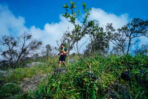 BIB: 
                            <button type="button" onclick="openModal(25097875)" class="btn btn-primary btn-sm float-right btn-popup" data-toggle="modal" data-target=".modal-high-quality">
                        <i class="fas fa-shopping-cart"></i> Add to Cart
                    </button>
                                            <button type="button" onclick="isThisMe(25097875, true)" class="btn btn-success btn-sm float-right btn-popup btn-isme hidden" data-toggle="tooltip" data-placement="bottom" title="นี่คือรูปของคุณใช่ไหม คลิกที่นี่เพื่อเอาเข้าอัลบั้ม">
                        <i class="fas fa-plus"></i> Add to album
                    </button>
                    <button type="button" onclick="isThisMe(25097875, false)" class="btn btn-warning btn-sm float-right btn-popup btn-isnotme hidden">
                        <i class="fas fa-ban"></i> Remove from album
                    </button>