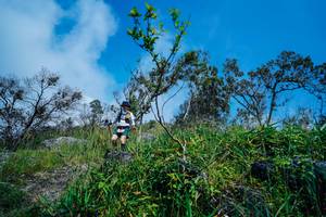 BIB: 
                            <button type="button" onclick="openModal(25098029)" class="btn btn-primary btn-sm float-right btn-popup" data-toggle="modal" data-target=".modal-high-quality">
                        <i class="fas fa-shopping-cart"></i> Add to Cart
                    </button>
                                            <button type="button" onclick="isThisMe(25098029, true)" class="btn btn-success btn-sm float-right btn-popup btn-isme hidden" data-toggle="tooltip" data-placement="bottom" title="นี่คือรูปของคุณใช่ไหม คลิกที่นี่เพื่อเอาเข้าอัลบั้ม">
                        <i class="fas fa-plus"></i> Add to album
                    </button>
                    <button type="button" onclick="isThisMe(25098029, false)" class="btn btn-warning btn-sm float-right btn-popup btn-isnotme hidden">
                        <i class="fas fa-ban"></i> Remove from album
                    </button>