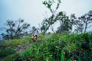 BIB: 
                            <button type="button" onclick="openModal(25096873)" class="btn btn-primary btn-sm float-right btn-popup" data-toggle="modal" data-target=".modal-high-quality">
                        <i class="fas fa-shopping-cart"></i> Add to Cart
                    </button>
                                            <button type="button" onclick="isThisMe(25096873, true)" class="btn btn-success btn-sm float-right btn-popup btn-isme hidden" data-toggle="tooltip" data-placement="bottom" title="นี่คือรูปของคุณใช่ไหม คลิกที่นี่เพื่อเอาเข้าอัลบั้ม">
                        <i class="fas fa-plus"></i> Add to album
                    </button>
                    <button type="button" onclick="isThisMe(25096873, false)" class="btn btn-warning btn-sm float-right btn-popup btn-isnotme hidden">
                        <i class="fas fa-ban"></i> Remove from album
                    </button>