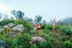 BIB: 
                            <button type="button" onclick="openModal(25087497)" class="btn btn-primary btn-sm float-right btn-popup" data-toggle="modal" data-target=".modal-high-quality">
                        <i class="fas fa-shopping-cart"></i> Add to Cart
                    </button>
                                            <button type="button" onclick="isThisMe(25087497, true)" class="btn btn-success btn-sm float-right btn-popup btn-isme hidden" data-toggle="tooltip" data-placement="bottom" title="นี่คือรูปของคุณใช่ไหม คลิกที่นี่เพื่อเอาเข้าอัลบั้ม">
                        <i class="fas fa-plus"></i> Add to album
                    </button>
                    <button type="button" onclick="isThisMe(25087497, false)" class="btn btn-warning btn-sm float-right btn-popup btn-isnotme hidden">
                        <i class="fas fa-ban"></i> Remove from album
                    </button>