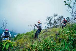 BIB: 
                            <button type="button" onclick="openModal(25095003)" class="btn btn-primary btn-sm float-right btn-popup" data-toggle="modal" data-target=".modal-high-quality">
                        <i class="fas fa-shopping-cart"></i> Add to Cart
                    </button>
                                            <button type="button" onclick="isThisMe(25095003, true)" class="btn btn-success btn-sm float-right btn-popup btn-isme hidden" data-toggle="tooltip" data-placement="bottom" title="นี่คือรูปของคุณใช่ไหม คลิกที่นี่เพื่อเอาเข้าอัลบั้ม">
                        <i class="fas fa-plus"></i> Add to album
                    </button>
                    <button type="button" onclick="isThisMe(25095003, false)" class="btn btn-warning btn-sm float-right btn-popup btn-isnotme hidden">
                        <i class="fas fa-ban"></i> Remove from album
                    </button>