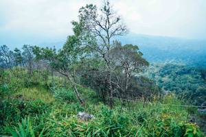 BIB: 
                            <button type="button" onclick="openModal(25096278)" class="btn btn-primary btn-sm float-right btn-popup" data-toggle="modal" data-target=".modal-high-quality">
                        <i class="fas fa-shopping-cart"></i> Add to Cart
                    </button>
                                            <button type="button" onclick="isThisMe(25096278, true)" class="btn btn-success btn-sm float-right btn-popup btn-isme hidden" data-toggle="tooltip" data-placement="bottom" title="นี่คือรูปของคุณใช่ไหม คลิกที่นี่เพื่อเอาเข้าอัลบั้ม">
                        <i class="fas fa-plus"></i> Add to album
                    </button>
                    <button type="button" onclick="isThisMe(25096278, false)" class="btn btn-warning btn-sm float-right btn-popup btn-isnotme hidden">
                        <i class="fas fa-ban"></i> Remove from album
                    </button>