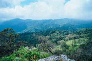 BIB: 
                            <button type="button" onclick="openModal(25098423)" class="btn btn-primary btn-sm float-right btn-popup" data-toggle="modal" data-target=".modal-high-quality">
                        <i class="fas fa-shopping-cart"></i> Add to Cart
                    </button>
                                            <button type="button" onclick="isThisMe(25098423, true)" class="btn btn-success btn-sm float-right btn-popup btn-isme hidden" data-toggle="tooltip" data-placement="bottom" title="นี่คือรูปของคุณใช่ไหม คลิกที่นี่เพื่อเอาเข้าอัลบั้ม">
                        <i class="fas fa-plus"></i> Add to album
                    </button>
                    <button type="button" onclick="isThisMe(25098423, false)" class="btn btn-warning btn-sm float-right btn-popup btn-isnotme hidden">
                        <i class="fas fa-ban"></i> Remove from album
                    </button>