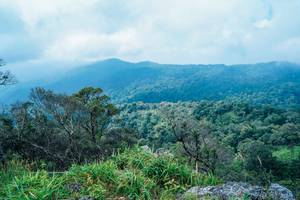 BIB: 
                            <button type="button" onclick="openModal(25098441)" class="btn btn-primary btn-sm float-right btn-popup" data-toggle="modal" data-target=".modal-high-quality">
                        <i class="fas fa-shopping-cart"></i> Add to Cart
                    </button>
                                            <button type="button" onclick="isThisMe(25098441, true)" class="btn btn-success btn-sm float-right btn-popup btn-isme hidden" data-toggle="tooltip" data-placement="bottom" title="นี่คือรูปของคุณใช่ไหม คลิกที่นี่เพื่อเอาเข้าอัลบั้ม">
                        <i class="fas fa-plus"></i> Add to album
                    </button>
                    <button type="button" onclick="isThisMe(25098441, false)" class="btn btn-warning btn-sm float-right btn-popup btn-isnotme hidden">
                        <i class="fas fa-ban"></i> Remove from album
                    </button>