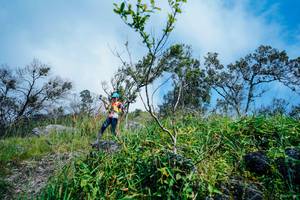 BIB: 
                            <button type="button" onclick="openModal(25097393)" class="btn btn-primary btn-sm float-right btn-popup" data-toggle="modal" data-target=".modal-high-quality">
                        <i class="fas fa-shopping-cart"></i> Add to Cart
                    </button>
                                            <button type="button" onclick="isThisMe(25097393, true)" class="btn btn-success btn-sm float-right btn-popup btn-isme hidden" data-toggle="tooltip" data-placement="bottom" title="นี่คือรูปของคุณใช่ไหม คลิกที่นี่เพื่อเอาเข้าอัลบั้ม">
                        <i class="fas fa-plus"></i> Add to album
                    </button>
                    <button type="button" onclick="isThisMe(25097393, false)" class="btn btn-warning btn-sm float-right btn-popup btn-isnotme hidden">
                        <i class="fas fa-ban"></i> Remove from album
                    </button>