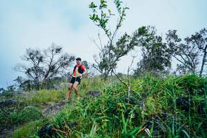 BIB: 
                            <button type="button" onclick="openModal(25096545)" class="btn btn-primary btn-sm float-right btn-popup" data-toggle="modal" data-target=".modal-high-quality">
                        <i class="fas fa-shopping-cart"></i> Add to Cart
                    </button>
                                            <button type="button" onclick="isThisMe(25096545, true)" class="btn btn-success btn-sm float-right btn-popup btn-isme hidden" data-toggle="tooltip" data-placement="bottom" title="นี่คือรูปของคุณใช่ไหม คลิกที่นี่เพื่อเอาเข้าอัลบั้ม">
                        <i class="fas fa-plus"></i> Add to album
                    </button>
                    <button type="button" onclick="isThisMe(25096545, false)" class="btn btn-warning btn-sm float-right btn-popup btn-isnotme hidden">
                        <i class="fas fa-ban"></i> Remove from album
                    </button>