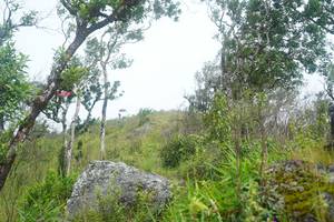 BIB: 
                            <button type="button" onclick="openModal(25094744)" class="btn btn-primary btn-sm float-right btn-popup" data-toggle="modal" data-target=".modal-high-quality">
                        <i class="fas fa-shopping-cart"></i> Add to Cart
                    </button>
                                            <button type="button" onclick="isThisMe(25094744, true)" class="btn btn-success btn-sm float-right btn-popup btn-isme hidden" data-toggle="tooltip" data-placement="bottom" title="นี่คือรูปของคุณใช่ไหม คลิกที่นี่เพื่อเอาเข้าอัลบั้ม">
                        <i class="fas fa-plus"></i> Add to album
                    </button>
                    <button type="button" onclick="isThisMe(25094744, false)" class="btn btn-warning btn-sm float-right btn-popup btn-isnotme hidden">
                        <i class="fas fa-ban"></i> Remove from album
                    </button>