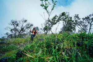 BIB: 
                            <button type="button" onclick="openModal(25096121)" class="btn btn-primary btn-sm float-right btn-popup" data-toggle="modal" data-target=".modal-high-quality">
                        <i class="fas fa-shopping-cart"></i> Add to Cart
                    </button>
                                            <button type="button" onclick="isThisMe(25096121, true)" class="btn btn-success btn-sm float-right btn-popup btn-isme hidden" data-toggle="tooltip" data-placement="bottom" title="นี่คือรูปของคุณใช่ไหม คลิกที่นี่เพื่อเอาเข้าอัลบั้ม">
                        <i class="fas fa-plus"></i> Add to album
                    </button>
                    <button type="button" onclick="isThisMe(25096121, false)" class="btn btn-warning btn-sm float-right btn-popup btn-isnotme hidden">
                        <i class="fas fa-ban"></i> Remove from album
                    </button>