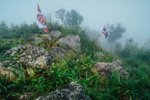 BIB: 
                            <button type="button" onclick="openModal(25093865)" class="btn btn-primary btn-sm float-right btn-popup" data-toggle="modal" data-target=".modal-high-quality">
                        <i class="fas fa-shopping-cart"></i> Add to Cart
                    </button>
                                            <button type="button" onclick="isThisMe(25093865, true)" class="btn btn-success btn-sm float-right btn-popup btn-isme hidden" data-toggle="tooltip" data-placement="bottom" title="นี่คือรูปของคุณใช่ไหม คลิกที่นี่เพื่อเอาเข้าอัลบั้ม">
                        <i class="fas fa-plus"></i> Add to album
                    </button>
                    <button type="button" onclick="isThisMe(25093865, false)" class="btn btn-warning btn-sm float-right btn-popup btn-isnotme hidden">
                        <i class="fas fa-ban"></i> Remove from album
                    </button>