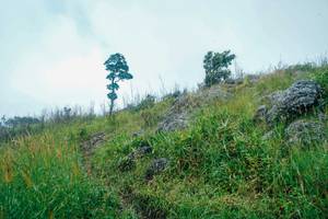 BIB: 
                            <button type="button" onclick="openModal(25094712)" class="btn btn-primary btn-sm float-right btn-popup" data-toggle="modal" data-target=".modal-high-quality">
                        <i class="fas fa-shopping-cart"></i> Add to Cart
                    </button>
                                            <button type="button" onclick="isThisMe(25094712, true)" class="btn btn-success btn-sm float-right btn-popup btn-isme hidden" data-toggle="tooltip" data-placement="bottom" title="นี่คือรูปของคุณใช่ไหม คลิกที่นี่เพื่อเอาเข้าอัลบั้ม">
                        <i class="fas fa-plus"></i> Add to album
                    </button>
                    <button type="button" onclick="isThisMe(25094712, false)" class="btn btn-warning btn-sm float-right btn-popup btn-isnotme hidden">
                        <i class="fas fa-ban"></i> Remove from album
                    </button>