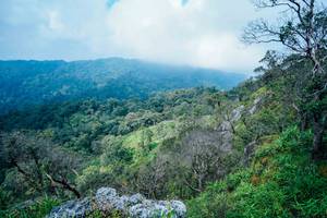 BIB: 
                            <button type="button" onclick="openModal(25098408)" class="btn btn-primary btn-sm float-right btn-popup" data-toggle="modal" data-target=".modal-high-quality">
                        <i class="fas fa-shopping-cart"></i> Add to Cart
                    </button>
                                            <button type="button" onclick="isThisMe(25098408, true)" class="btn btn-success btn-sm float-right btn-popup btn-isme hidden" data-toggle="tooltip" data-placement="bottom" title="นี่คือรูปของคุณใช่ไหม คลิกที่นี่เพื่อเอาเข้าอัลบั้ม">
                        <i class="fas fa-plus"></i> Add to album
                    </button>
                    <button type="button" onclick="isThisMe(25098408, false)" class="btn btn-warning btn-sm float-right btn-popup btn-isnotme hidden">
                        <i class="fas fa-ban"></i> Remove from album
                    </button>