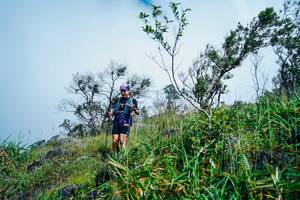 BIB: 
                            <button type="button" onclick="openModal(25095290)" class="btn btn-primary btn-sm float-right btn-popup" data-toggle="modal" data-target=".modal-high-quality">
                        <i class="fas fa-shopping-cart"></i> Add to Cart
                    </button>
                                            <button type="button" onclick="isThisMe(25095290, true)" class="btn btn-success btn-sm float-right btn-popup btn-isme hidden" data-toggle="tooltip" data-placement="bottom" title="นี่คือรูปของคุณใช่ไหม คลิกที่นี่เพื่อเอาเข้าอัลบั้ม">
                        <i class="fas fa-plus"></i> Add to album
                    </button>
                    <button type="button" onclick="isThisMe(25095290, false)" class="btn btn-warning btn-sm float-right btn-popup btn-isnotme hidden">
                        <i class="fas fa-ban"></i> Remove from album
                    </button>