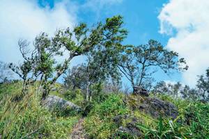 BIB: 
                            <button type="button" onclick="openModal(25098464)" class="btn btn-primary btn-sm float-right btn-popup" data-toggle="modal" data-target=".modal-high-quality">
                        <i class="fas fa-shopping-cart"></i> Add to Cart
                    </button>
                                            <button type="button" onclick="isThisMe(25098464, true)" class="btn btn-success btn-sm float-right btn-popup btn-isme hidden" data-toggle="tooltip" data-placement="bottom" title="นี่คือรูปของคุณใช่ไหม คลิกที่นี่เพื่อเอาเข้าอัลบั้ม">
                        <i class="fas fa-plus"></i> Add to album
                    </button>
                    <button type="button" onclick="isThisMe(25098464, false)" class="btn btn-warning btn-sm float-right btn-popup btn-isnotme hidden">
                        <i class="fas fa-ban"></i> Remove from album
                    </button>