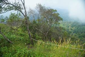 BIB: 
                            <button type="button" onclick="openModal(25094755)" class="btn btn-primary btn-sm float-right btn-popup" data-toggle="modal" data-target=".modal-high-quality">
                        <i class="fas fa-shopping-cart"></i> Add to Cart
                    </button>
                                            <button type="button" onclick="isThisMe(25094755, true)" class="btn btn-success btn-sm float-right btn-popup btn-isme hidden" data-toggle="tooltip" data-placement="bottom" title="นี่คือรูปของคุณใช่ไหม คลิกที่นี่เพื่อเอาเข้าอัลบั้ม">
                        <i class="fas fa-plus"></i> Add to album
                    </button>
                    <button type="button" onclick="isThisMe(25094755, false)" class="btn btn-warning btn-sm float-right btn-popup btn-isnotme hidden">
                        <i class="fas fa-ban"></i> Remove from album
                    </button>