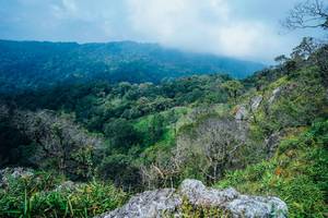 BIB: 
                            <button type="button" onclick="openModal(25098407)" class="btn btn-primary btn-sm float-right btn-popup" data-toggle="modal" data-target=".modal-high-quality">
                        <i class="fas fa-shopping-cart"></i> Add to Cart
                    </button>
                                            <button type="button" onclick="isThisMe(25098407, true)" class="btn btn-success btn-sm float-right btn-popup btn-isme hidden" data-toggle="tooltip" data-placement="bottom" title="นี่คือรูปของคุณใช่ไหม คลิกที่นี่เพื่อเอาเข้าอัลบั้ม">
                        <i class="fas fa-plus"></i> Add to album
                    </button>
                    <button type="button" onclick="isThisMe(25098407, false)" class="btn btn-warning btn-sm float-right btn-popup btn-isnotme hidden">
                        <i class="fas fa-ban"></i> Remove from album
                    </button>