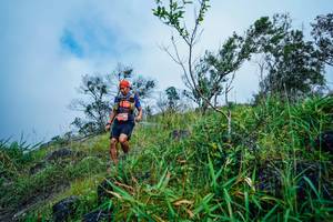 BIB: 
                            <button type="button" onclick="openModal(25095911)" class="btn btn-primary btn-sm float-right btn-popup" data-toggle="modal" data-target=".modal-high-quality">
                        <i class="fas fa-shopping-cart"></i> Add to Cart
                    </button>
                                            <button type="button" onclick="isThisMe(25095911, true)" class="btn btn-success btn-sm float-right btn-popup btn-isme hidden" data-toggle="tooltip" data-placement="bottom" title="นี่คือรูปของคุณใช่ไหม คลิกที่นี่เพื่อเอาเข้าอัลบั้ม">
                        <i class="fas fa-plus"></i> Add to album
                    </button>
                    <button type="button" onclick="isThisMe(25095911, false)" class="btn btn-warning btn-sm float-right btn-popup btn-isnotme hidden">
                        <i class="fas fa-ban"></i> Remove from album
                    </button>