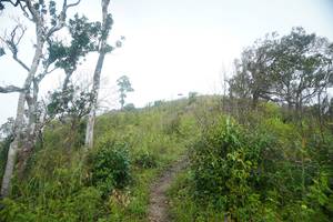 BIB: 
                            <button type="button" onclick="openModal(25094726)" class="btn btn-primary btn-sm float-right btn-popup" data-toggle="modal" data-target=".modal-high-quality">
                        <i class="fas fa-shopping-cart"></i> Add to Cart
                    </button>
                                            <button type="button" onclick="isThisMe(25094726, true)" class="btn btn-success btn-sm float-right btn-popup btn-isme hidden" data-toggle="tooltip" data-placement="bottom" title="นี่คือรูปของคุณใช่ไหม คลิกที่นี่เพื่อเอาเข้าอัลบั้ม">
                        <i class="fas fa-plus"></i> Add to album
                    </button>
                    <button type="button" onclick="isThisMe(25094726, false)" class="btn btn-warning btn-sm float-right btn-popup btn-isnotme hidden">
                        <i class="fas fa-ban"></i> Remove from album
                    </button>