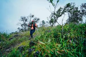 BIB: 
                            <button type="button" onclick="openModal(25096137)" class="btn btn-primary btn-sm float-right btn-popup" data-toggle="modal" data-target=".modal-high-quality">
                        <i class="fas fa-shopping-cart"></i> Add to Cart
                    </button>
                                            <button type="button" onclick="isThisMe(25096137, true)" class="btn btn-success btn-sm float-right btn-popup btn-isme hidden" data-toggle="tooltip" data-placement="bottom" title="นี่คือรูปของคุณใช่ไหม คลิกที่นี่เพื่อเอาเข้าอัลบั้ม">
                        <i class="fas fa-plus"></i> Add to album
                    </button>
                    <button type="button" onclick="isThisMe(25096137, false)" class="btn btn-warning btn-sm float-right btn-popup btn-isnotme hidden">
                        <i class="fas fa-ban"></i> Remove from album
                    </button>