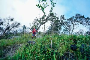 BIB: 
                            <button type="button" onclick="openModal(25098502)" class="btn btn-primary btn-sm float-right btn-popup" data-toggle="modal" data-target=".modal-high-quality">
                        <i class="fas fa-shopping-cart"></i> Add to Cart
                    </button>
                                            <button type="button" onclick="isThisMe(25098502, true)" class="btn btn-success btn-sm float-right btn-popup btn-isme hidden" data-toggle="tooltip" data-placement="bottom" title="นี่คือรูปของคุณใช่ไหม คลิกที่นี่เพื่อเอาเข้าอัลบั้ม">
                        <i class="fas fa-plus"></i> Add to album
                    </button>
                    <button type="button" onclick="isThisMe(25098502, false)" class="btn btn-warning btn-sm float-right btn-popup btn-isnotme hidden">
                        <i class="fas fa-ban"></i> Remove from album
                    </button>