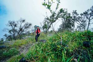 BIB: 
                            <button type="button" onclick="openModal(25097061)" class="btn btn-primary btn-sm float-right btn-popup" data-toggle="modal" data-target=".modal-high-quality">
                        <i class="fas fa-shopping-cart"></i> Add to Cart
                    </button>
                                            <button type="button" onclick="isThisMe(25097061, true)" class="btn btn-success btn-sm float-right btn-popup btn-isme hidden" data-toggle="tooltip" data-placement="bottom" title="นี่คือรูปของคุณใช่ไหม คลิกที่นี่เพื่อเอาเข้าอัลบั้ม">
                        <i class="fas fa-plus"></i> Add to album
                    </button>
                    <button type="button" onclick="isThisMe(25097061, false)" class="btn btn-warning btn-sm float-right btn-popup btn-isnotme hidden">
                        <i class="fas fa-ban"></i> Remove from album
                    </button>