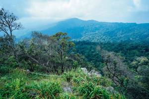 BIB: 
                            <button type="button" onclick="openModal(25098404)" class="btn btn-primary btn-sm float-right btn-popup" data-toggle="modal" data-target=".modal-high-quality">
                        <i class="fas fa-shopping-cart"></i> Add to Cart
                    </button>
                                            <button type="button" onclick="isThisMe(25098404, true)" class="btn btn-success btn-sm float-right btn-popup btn-isme hidden" data-toggle="tooltip" data-placement="bottom" title="นี่คือรูปของคุณใช่ไหม คลิกที่นี่เพื่อเอาเข้าอัลบั้ม">
                        <i class="fas fa-plus"></i> Add to album
                    </button>
                    <button type="button" onclick="isThisMe(25098404, false)" class="btn btn-warning btn-sm float-right btn-popup btn-isnotme hidden">
                        <i class="fas fa-ban"></i> Remove from album
                    </button>