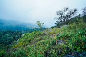 BIB: 
                            <button type="button" onclick="openModal(25096246)" class="btn btn-primary btn-sm float-right btn-popup" data-toggle="modal" data-target=".modal-high-quality">
                        <i class="fas fa-shopping-cart"></i> Add to Cart
                    </button>
                                            <button type="button" onclick="isThisMe(25096246, true)" class="btn btn-success btn-sm float-right btn-popup btn-isme hidden" data-toggle="tooltip" data-placement="bottom" title="นี่คือรูปของคุณใช่ไหม คลิกที่นี่เพื่อเอาเข้าอัลบั้ม">
                        <i class="fas fa-plus"></i> Add to album
                    </button>
                    <button type="button" onclick="isThisMe(25096246, false)" class="btn btn-warning btn-sm float-right btn-popup btn-isnotme hidden">
                        <i class="fas fa-ban"></i> Remove from album
                    </button>