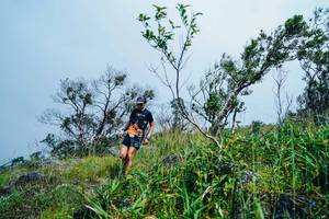 BIB: 
                            <button type="button" onclick="openModal(25095523)" class="btn btn-primary btn-sm float-right btn-popup" data-toggle="modal" data-target=".modal-high-quality">
                        <i class="fas fa-shopping-cart"></i> Add to Cart
                    </button>
                                            <button type="button" onclick="isThisMe(25095523, true)" class="btn btn-success btn-sm float-right btn-popup btn-isme hidden" data-toggle="tooltip" data-placement="bottom" title="นี่คือรูปของคุณใช่ไหม คลิกที่นี่เพื่อเอาเข้าอัลบั้ม">
                        <i class="fas fa-plus"></i> Add to album
                    </button>
                    <button type="button" onclick="isThisMe(25095523, false)" class="btn btn-warning btn-sm float-right btn-popup btn-isnotme hidden">
                        <i class="fas fa-ban"></i> Remove from album
                    </button>