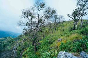 BIB: 
                            <button type="button" onclick="openModal(25098461)" class="btn btn-primary btn-sm float-right btn-popup" data-toggle="modal" data-target=".modal-high-quality">
                        <i class="fas fa-shopping-cart"></i> Add to Cart
                    </button>
                                            <button type="button" onclick="isThisMe(25098461, true)" class="btn btn-success btn-sm float-right btn-popup btn-isme hidden" data-toggle="tooltip" data-placement="bottom" title="นี่คือรูปของคุณใช่ไหม คลิกที่นี่เพื่อเอาเข้าอัลบั้ม">
                        <i class="fas fa-plus"></i> Add to album
                    </button>
                    <button type="button" onclick="isThisMe(25098461, false)" class="btn btn-warning btn-sm float-right btn-popup btn-isnotme hidden">
                        <i class="fas fa-ban"></i> Remove from album
                    </button>