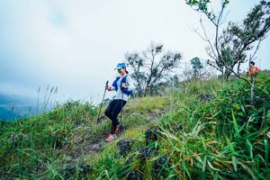 BIB: 
                            <button type="button" onclick="openModal(25096328)" class="btn btn-primary btn-sm float-right btn-popup" data-toggle="modal" data-target=".modal-high-quality">
                        <i class="fas fa-shopping-cart"></i> Add to Cart
                    </button>
                                            <button type="button" onclick="isThisMe(25096328, true)" class="btn btn-success btn-sm float-right btn-popup btn-isme hidden" data-toggle="tooltip" data-placement="bottom" title="นี่คือรูปของคุณใช่ไหม คลิกที่นี่เพื่อเอาเข้าอัลบั้ม">
                        <i class="fas fa-plus"></i> Add to album
                    </button>
                    <button type="button" onclick="isThisMe(25096328, false)" class="btn btn-warning btn-sm float-right btn-popup btn-isnotme hidden">
                        <i class="fas fa-ban"></i> Remove from album
                    </button>