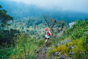 BIB: 
                            <button type="button" onclick="openModal(25095893)" class="btn btn-primary btn-sm float-right btn-popup" data-toggle="modal" data-target=".modal-high-quality">
                        <i class="fas fa-shopping-cart"></i> Add to Cart
                    </button>
                                            <button type="button" onclick="isThisMe(25095893, true)" class="btn btn-success btn-sm float-right btn-popup btn-isme hidden" data-toggle="tooltip" data-placement="bottom" title="นี่คือรูปของคุณใช่ไหม คลิกที่นี่เพื่อเอาเข้าอัลบั้ม">
                        <i class="fas fa-plus"></i> Add to album
                    </button>
                    <button type="button" onclick="isThisMe(25095893, false)" class="btn btn-warning btn-sm float-right btn-popup btn-isnotme hidden">
                        <i class="fas fa-ban"></i> Remove from album
                    </button>