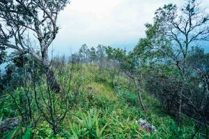 BIB: 
                            <button type="button" onclick="openModal(25096269)" class="btn btn-primary btn-sm float-right btn-popup" data-toggle="modal" data-target=".modal-high-quality">
                        <i class="fas fa-shopping-cart"></i> Add to Cart
                    </button>
                                            <button type="button" onclick="isThisMe(25096269, true)" class="btn btn-success btn-sm float-right btn-popup btn-isme hidden" data-toggle="tooltip" data-placement="bottom" title="นี่คือรูปของคุณใช่ไหม คลิกที่นี่เพื่อเอาเข้าอัลบั้ม">
                        <i class="fas fa-plus"></i> Add to album
                    </button>
                    <button type="button" onclick="isThisMe(25096269, false)" class="btn btn-warning btn-sm float-right btn-popup btn-isnotme hidden">
                        <i class="fas fa-ban"></i> Remove from album
                    </button>