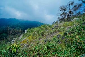 BIB: 
                            <button type="button" onclick="openModal(25098476)" class="btn btn-primary btn-sm float-right btn-popup" data-toggle="modal" data-target=".modal-high-quality">
                        <i class="fas fa-shopping-cart"></i> Add to Cart
                    </button>
                                            <button type="button" onclick="isThisMe(25098476, true)" class="btn btn-success btn-sm float-right btn-popup btn-isme hidden" data-toggle="tooltip" data-placement="bottom" title="นี่คือรูปของคุณใช่ไหม คลิกที่นี่เพื่อเอาเข้าอัลบั้ม">
                        <i class="fas fa-plus"></i> Add to album
                    </button>
                    <button type="button" onclick="isThisMe(25098476, false)" class="btn btn-warning btn-sm float-right btn-popup btn-isnotme hidden">
                        <i class="fas fa-ban"></i> Remove from album
                    </button>